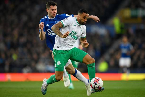 地网球的独 地网球的独