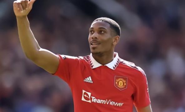 帮助日本队 帮助日本队